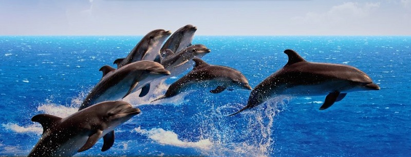 Métodos Ágiles Scrum Kanban Lean