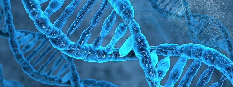 algoritmos genéticos