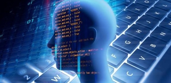 Software y sentido común