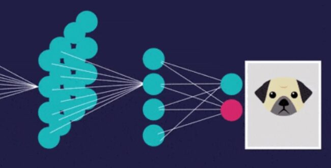 funciones de activación