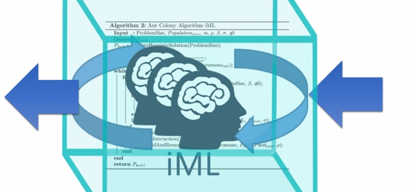 Interpretabilidad de la Inteligencia Artificial