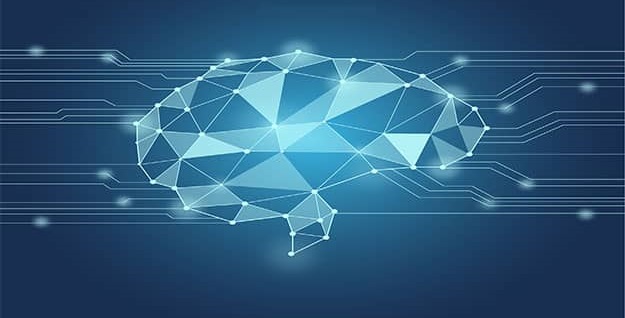 cerebro y redes neuronales