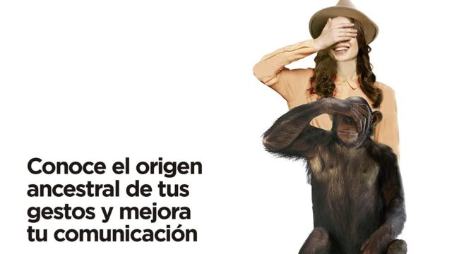 Comunicación no verbal - María Calvo del Brío