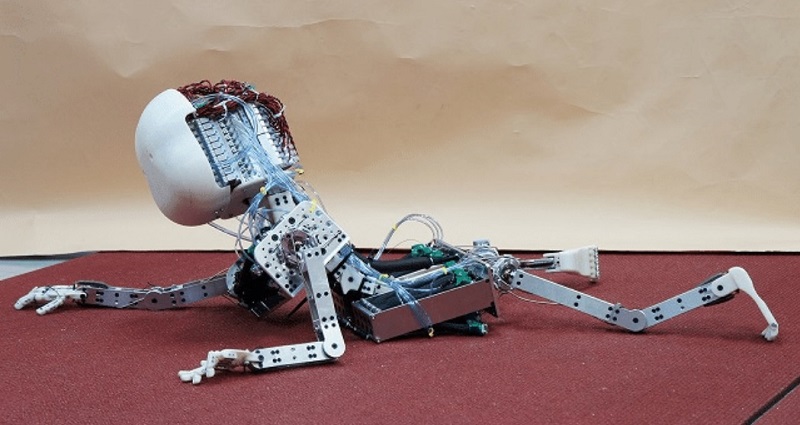 infancia para los robots