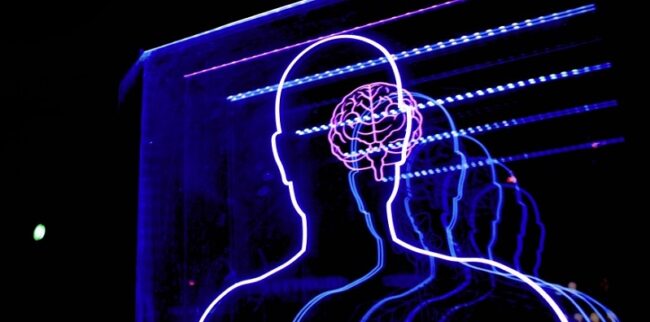 capacidades cognitivas