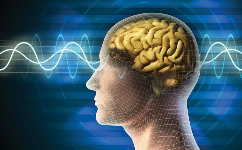 Capacidades cognitivas