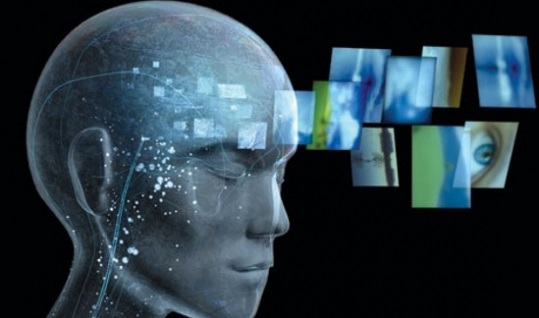 teoría del modelo interno