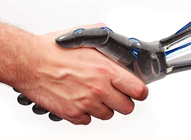 categorías de moral