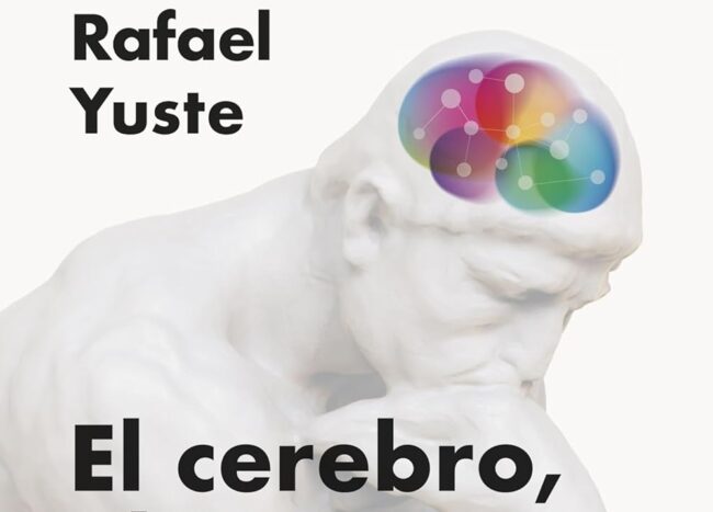 El cerebro, el teatro del mundo