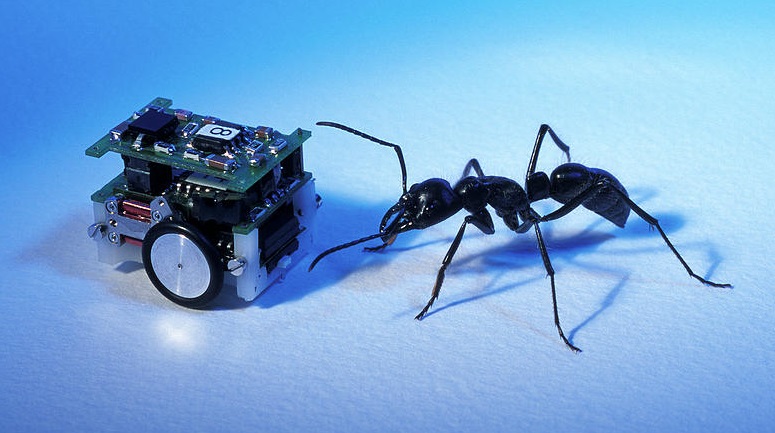 Ant Colony Optimization