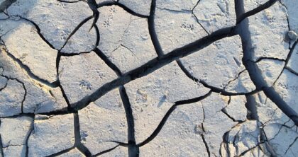 Grietas en el determinismo