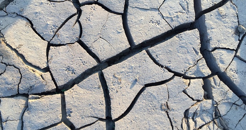 Grietas en el determinismo